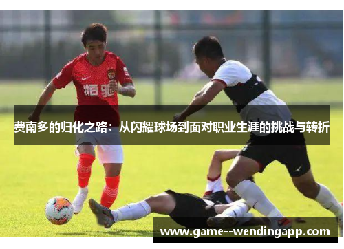 费南多的归化之路:从闪耀球场到面对职业生涯的挑战与转折 费南多的归化之路:从闪耀球场到面对职业生涯的挑战与转折