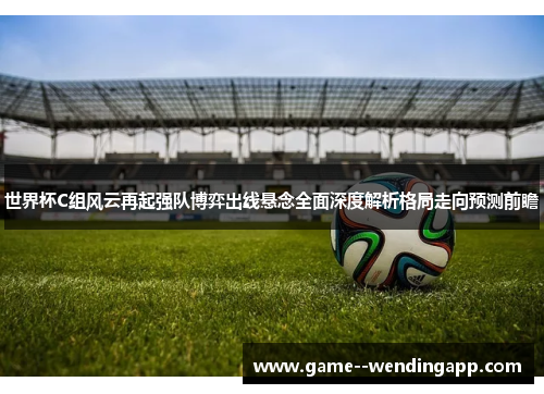 世界杯C组风云再起强队博弈出线悬念全面深度解析格局走向预测前瞻
