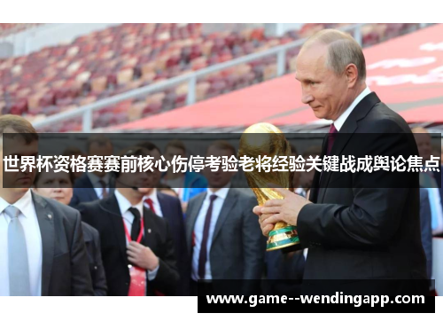 世界杯资格赛赛前核心伤停考验老将经验关键战成舆论焦点