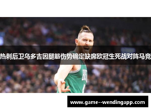 热刺后卫乌多吉因腿筋伤势确定缺席欧冠生死战对阵马竞